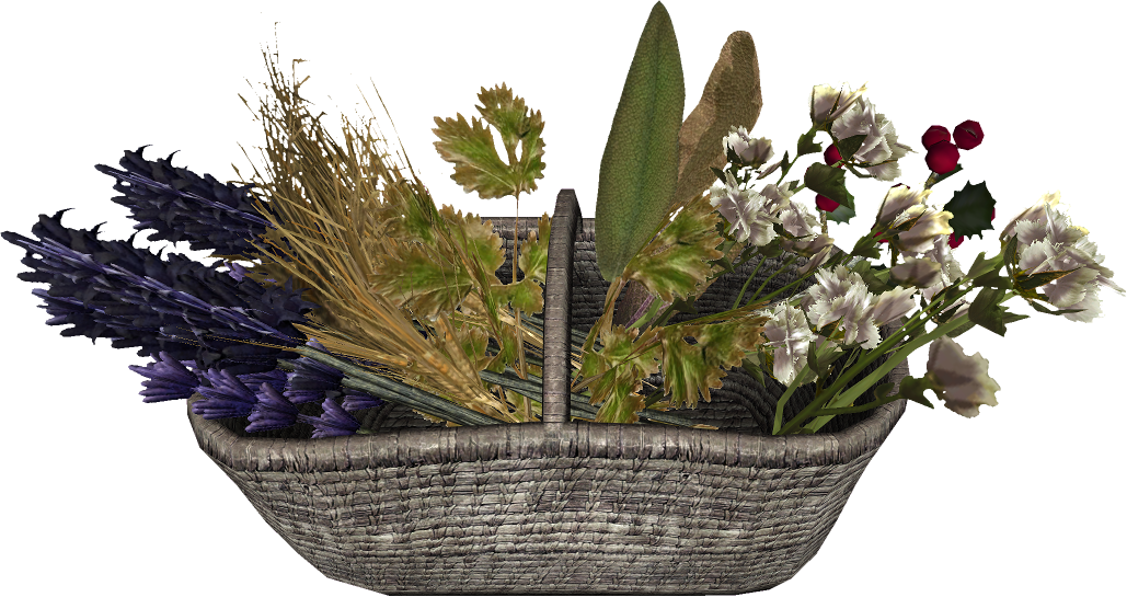 Enderal:Flower - SureAI Wiki