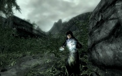 File:240px-EN-NPCs-Entropy Mage.jpg