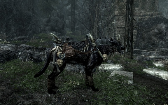 File:576px-EN-Creature-Shadow of Transcience Side.jpg