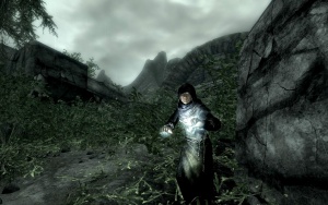 File:300px-EN-NPCs-Entropy Mage.jpg