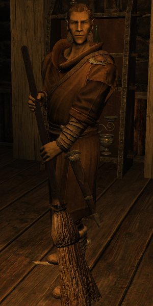 EN-NPC-Librarian Marius.png