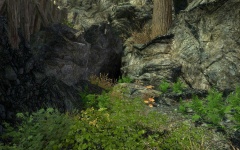 File:240px-EN-Places-Bear Cave4.jpg