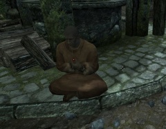 File:240px-EN-NPC-Merrol Booksnopper.jpg