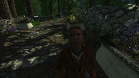 File:450px-EN-NPCs-Old Mirell.jpg