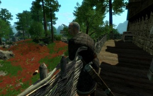 File:300px-EN-NPCs-Landlord Borek.jpg