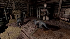 File:240px-EN-Places-Abandoned Store Cabin2.jpg