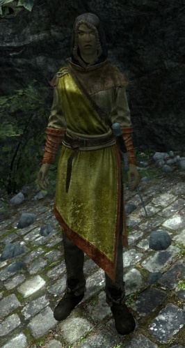 File:266px-EN-NPC-Talia Flamedrink.jpg