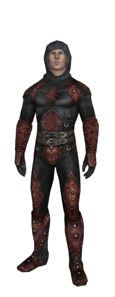 File:20251118162741!EN-Item-Item Set-Scarlett Night.png