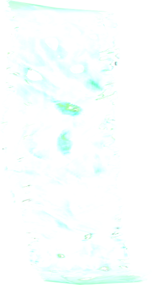 20251118162844!EN-Ingredient-Ghost Wrapping.png