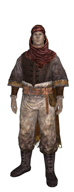 349px-EN-Item-Item Set-Mysterious Nomad.png