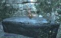 Thumbnail for version as of 16:32, 18 November 2025