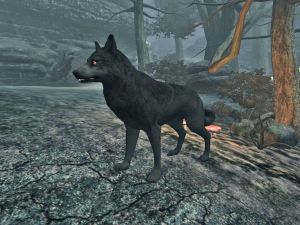 Adult Shadow Wolf.jpg