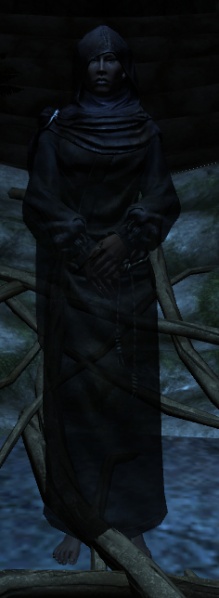 File:EN-NPC-The Veiled Woman.jpg