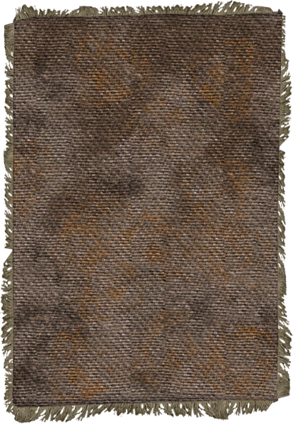 File:20251118162740!EN-Placeable-Carpet 7.png