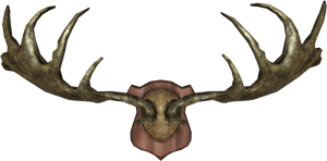800px-EN-Placeable-Trophy Antlers.png
