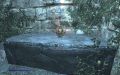 Thumbnail for version as of 16:32, 18 November 2025