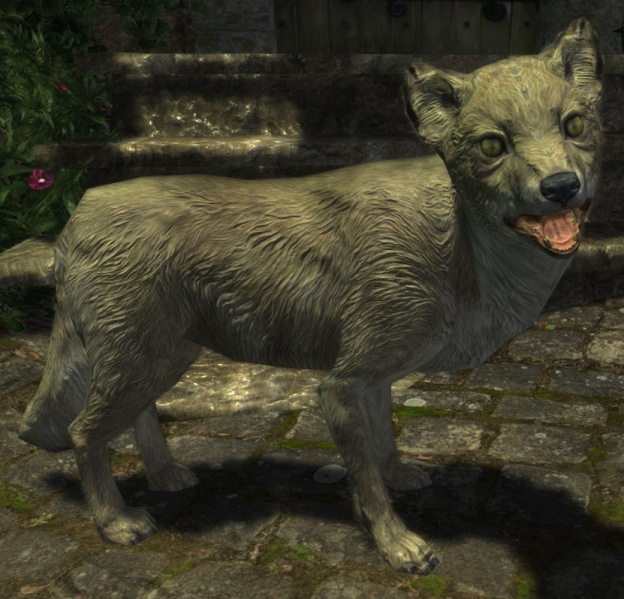 File:EN-Creature-Snow Fox.jpg