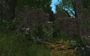 EN-Places-Abandoned Ruins3.jpg