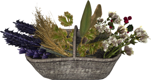EN-Placeable-Flower Basket (Mixed).png