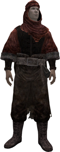 File:20190224223936!EN-Item-Item Set-Mysterious Nomad.png