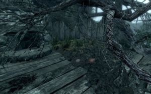 576px-EN-Places-Unamrked Shack2.jpg