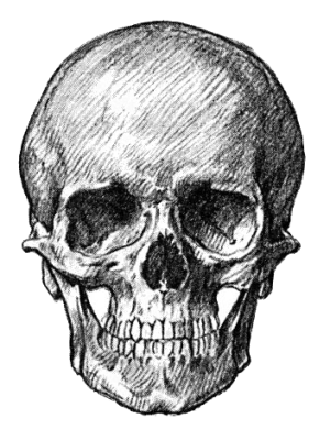 EN-Book-The Disciplines of Magic - Entropy.png