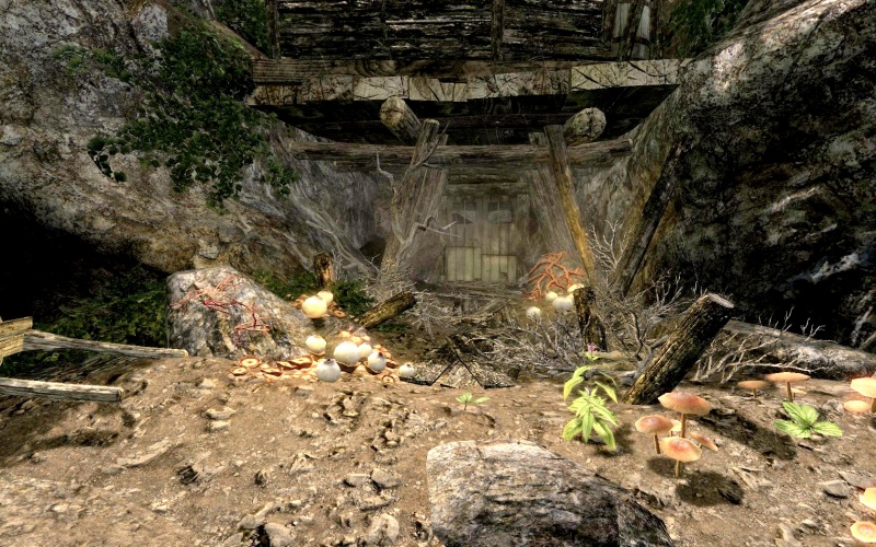 File:EN-places-A Shimmering Grove2.jpg