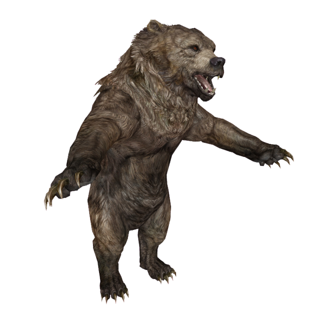 Enderal:Bear - SureAI Wiki