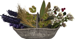 400px-EN-Placeable-Flower Basket (Mixed).png