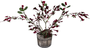 400px-EN-Placeable-Holly (Potted).png