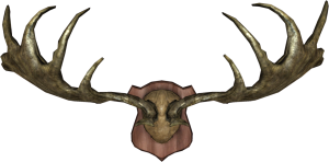 1280px-EN-Placeable-Trophy Antlers.png