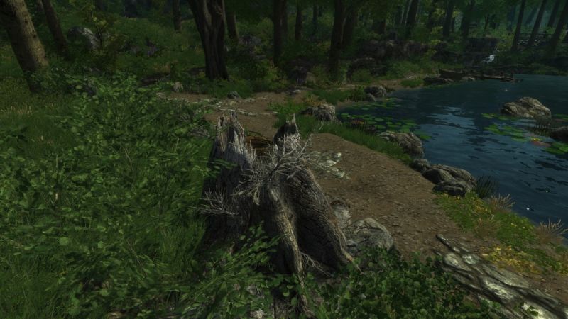 File:1200px-EN Hammerbird Nest Stump.jpg