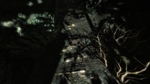 800px-EN-places-Sea Chasm BearTrap.png