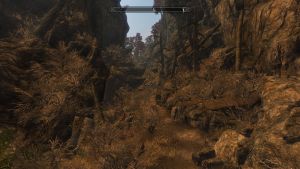 20251118162836!Eastern Rockcrack1.jpg