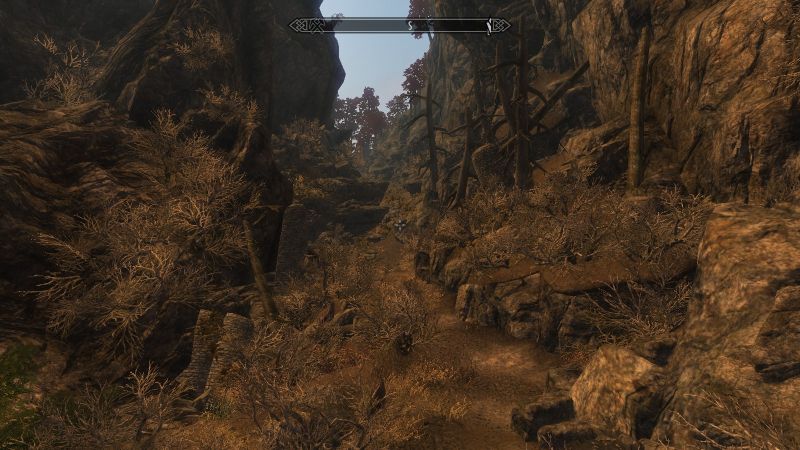 File:20251118162836!Eastern Rockcrack1.jpg