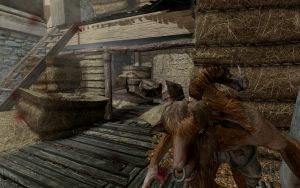 EN-Places-Upper Haystsacks4.jpg