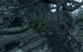 Thumbnail for version as of 16:30, 18 November 2025