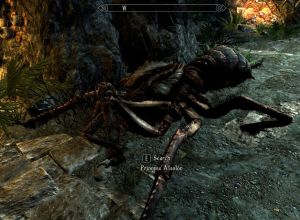 Princess Aisolon.jpg