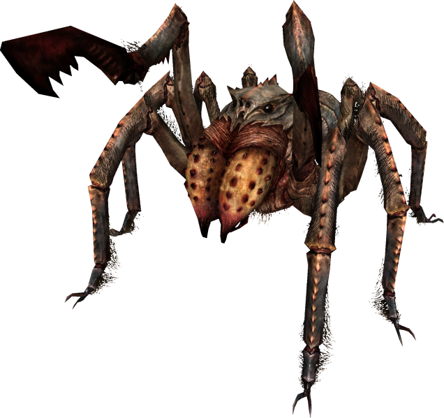 File:EN-Creature-Large Moss Crawler.png