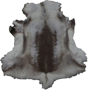 599px-EN-Placeable-Pelt 3.png