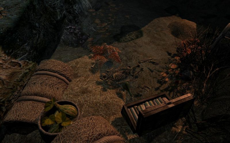 File:20251118162746!EN-Places-Shadow Echo Mine5).jpg