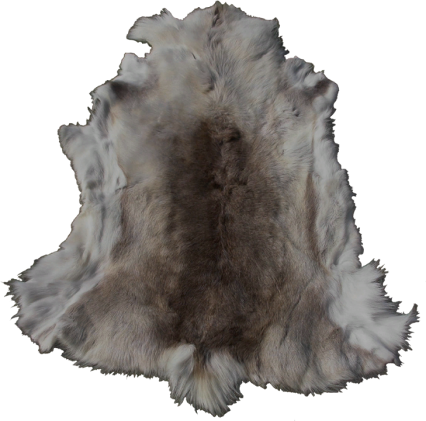 File:909px-EN-Placeable-Pelt 1.png