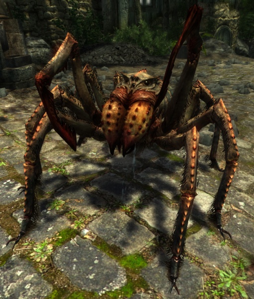 File:EN-Creature-Moss Crawler.jpg