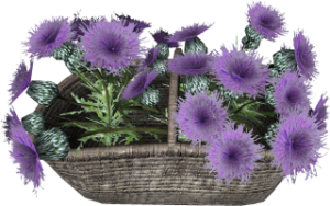 320px-EN-Placeable-Flower Basket.png