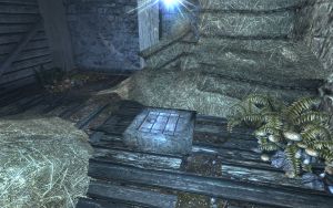 EN-Places-Upper Haystsacks5.jpg