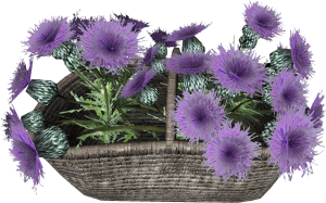 20251118162841!EN-Placeable-Flower Basket.png