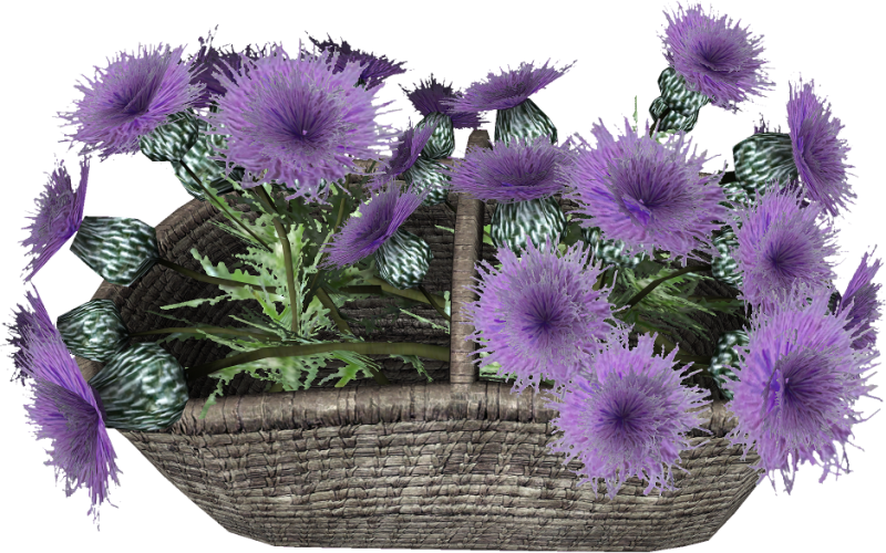 File:20251118162841!EN-Placeable-Flower Basket.png