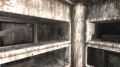 Thumbnail for version as of 16:32, 18 November 2025