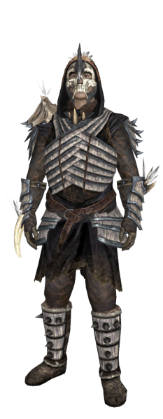 File:EN-Item-Item Set-Skaragg.png