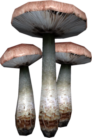 400px-EN-Ingredient-Stain Mushroom.png